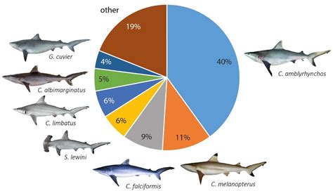 fish creature|The Most Numerous Organisms in the World .